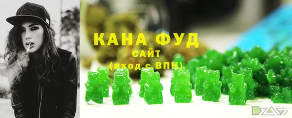 индика Волоколамск