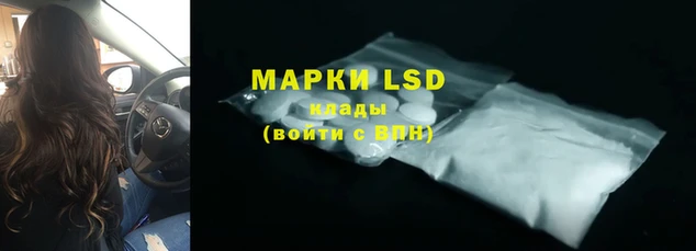 индика Волоколамск