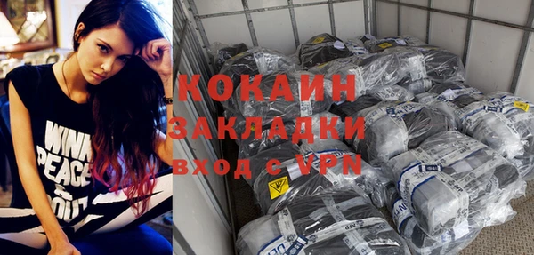 индика Волоколамск