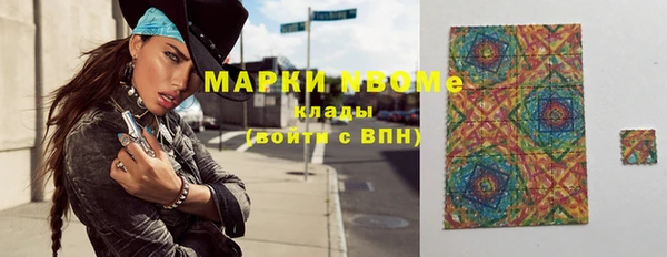 индика Волоколамск
