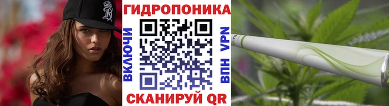 Бошки марихуана план  Купить  Княгинино 